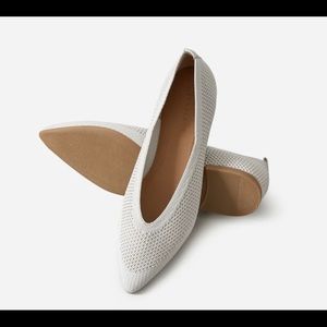 Everlane 40-Hour Flat in ReKnit